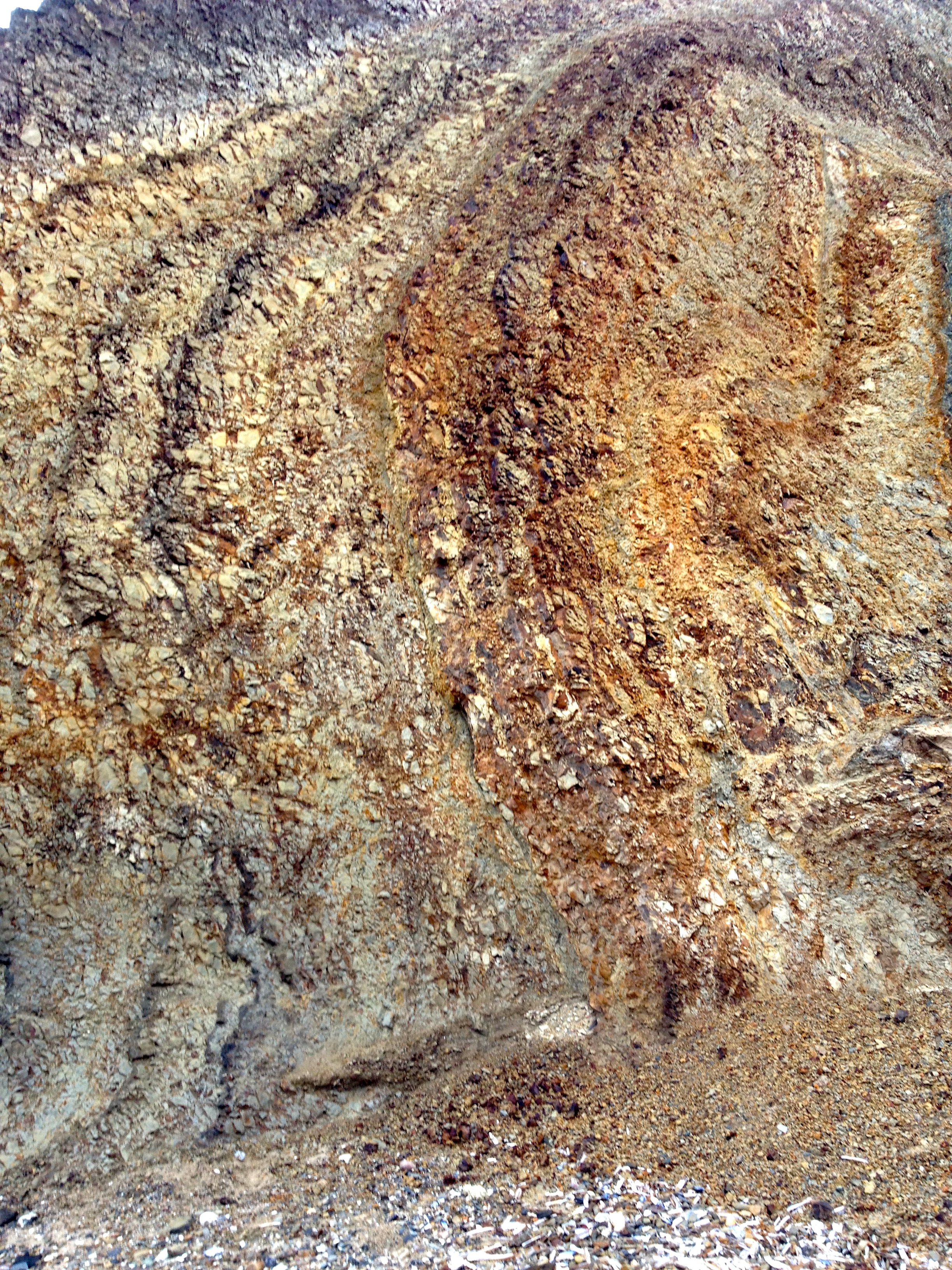 Nina Lykke Cliffs of Fur built of algae (2017)